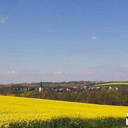 Ferienwohnung Im Gruenen Muldental Langenbach  Exteriér fotografie