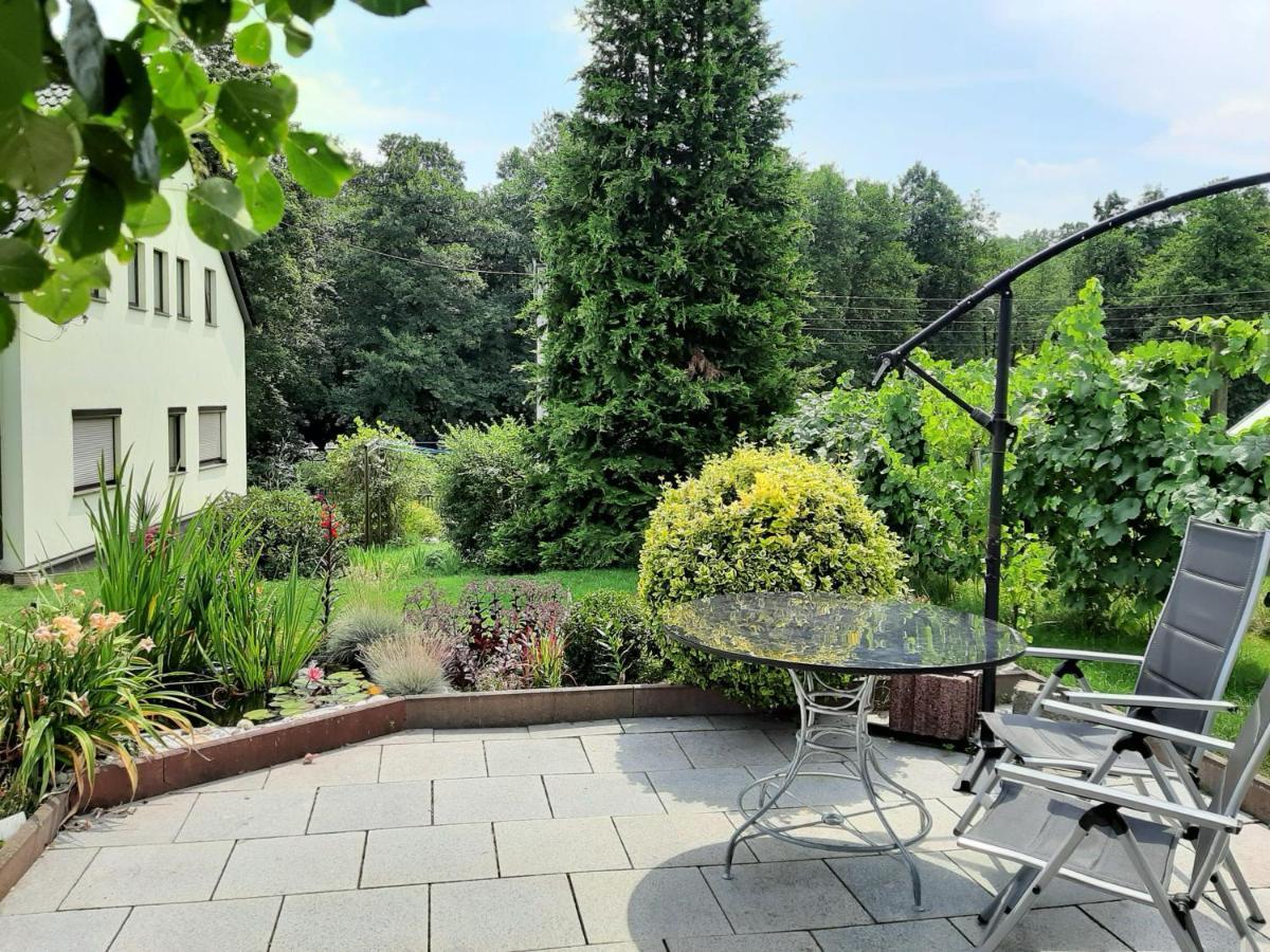 Ferienwohnung Im Gruenen Muldental Langenbach  Exteriér fotografie