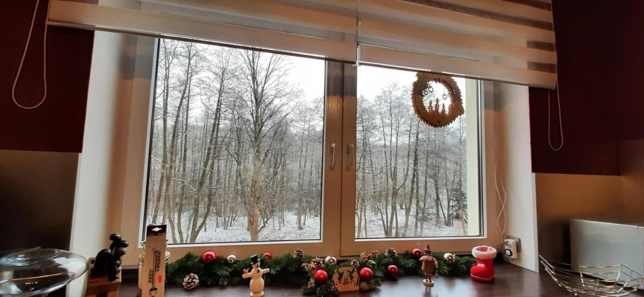 Ferienwohnung Im Gruenen Muldental Langenbach  Exteriér fotografie