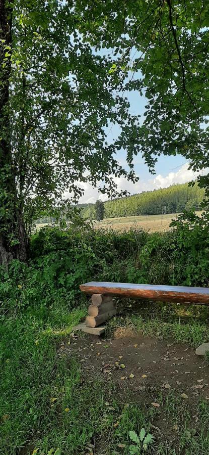 Ferienwohnung Im Gruenen Muldental Langenbach  Exteriér fotografie