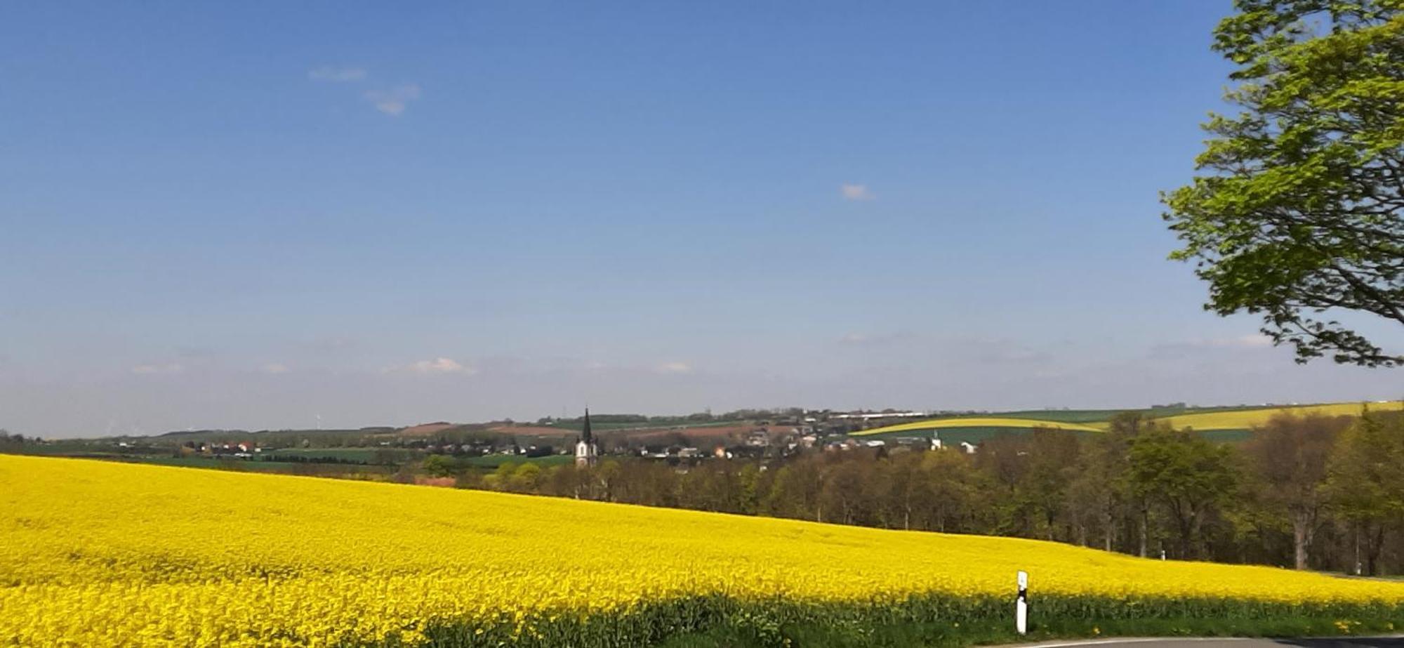 Ferienwohnung Im Gruenen Muldental Langenbach  Exteriér fotografie
